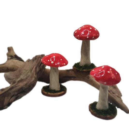 Toadstool on Natural Wood